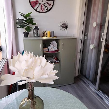 Studio Cabine Avec Loggia 阿格德 外观 照片