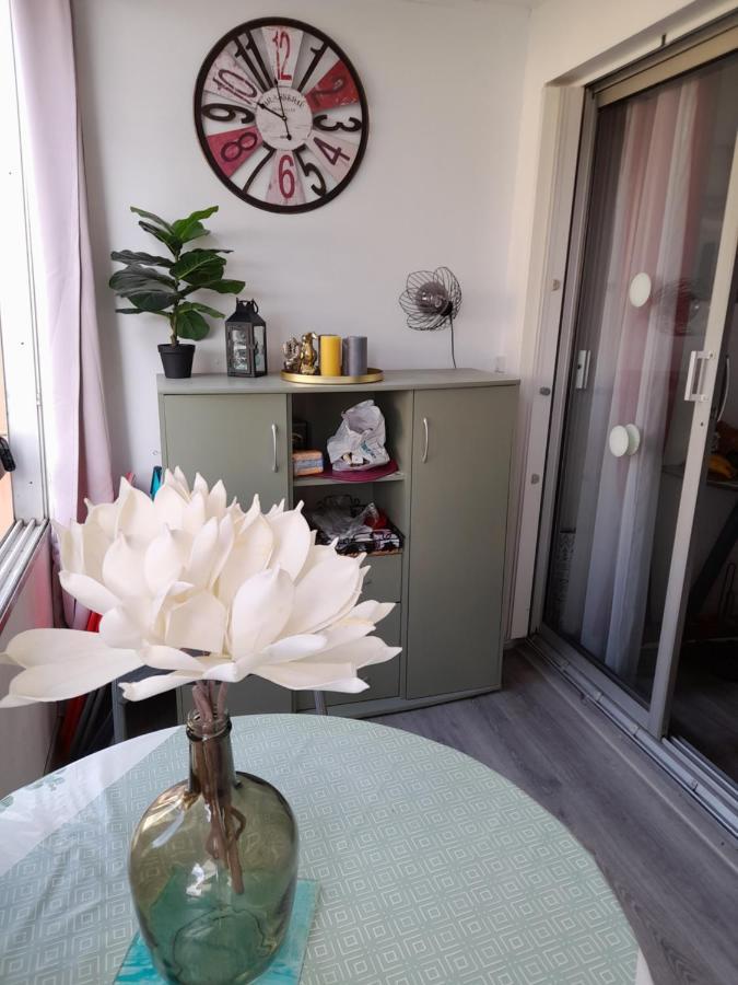 Studio Cabine Avec Loggia 阿格德 外观 照片